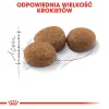 ROYAL CANIN Sterilised 37 - kuiv kassitoit - 10 kg