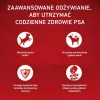 PURINA ONE MINI koeratoit tundlikule seedimisele lõhe ja riisiga 1,5 kg
