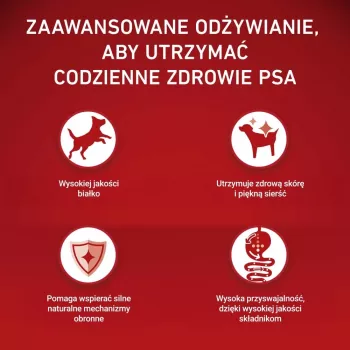 PURINA ONE MINI koeratoit tundlikule seedimisele lõhe ja riisiga 1,5 kg