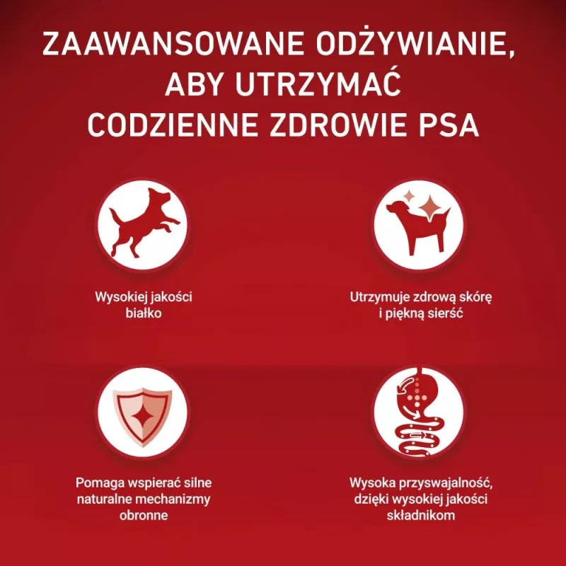 PURINA ONE MINI koeratoit tundlikule seedimisele lõhe ja riisiga 1,5 kg
