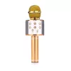 Mikrofon MANTA MIC10-G Gold kardioidne kaasaskantav — kardioidne kondensaator, pihuformaadis