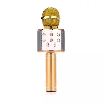 Mikrofon MANTA MIC10-G Gold kardioidne kaasaskantav — kardioidne kondensaator, pihuformaadis