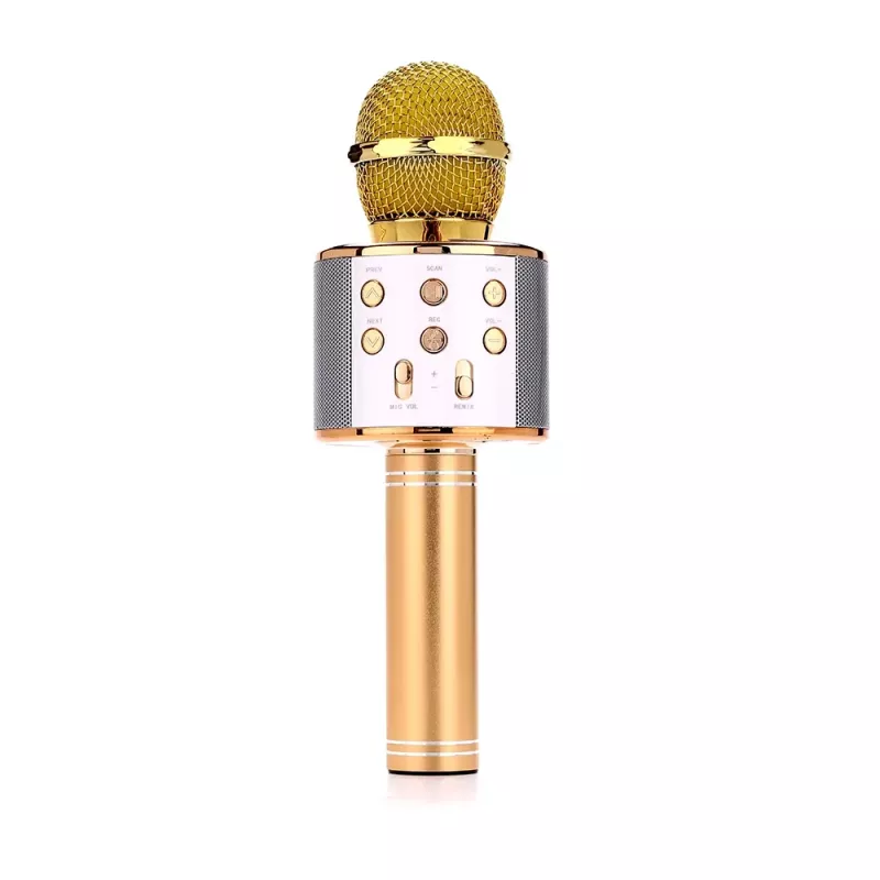 Mikrofon MANTA MIC10-G Gold kardioidne kaasaskantav — kardioidne kondensaator, pihuformaadis