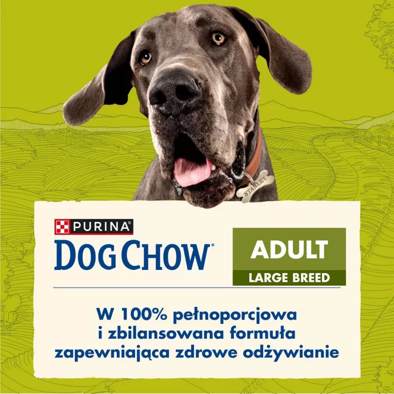 Purina DOG CHOW Large Breed Adult 14 kg Turkey