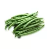 Nomad Green Dwarf Bean Seeds, 50g - köögiviljaseemned