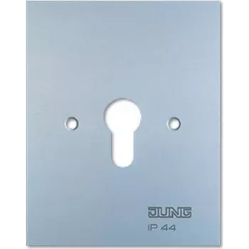 Metallist katteplaat 125x100mm ilma sümboliteta 6.28 WUG (6.28WUG)