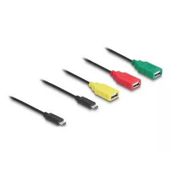 DeLOCK 4-pordiline USB 2.0 kaabliga jaotur USB USB-C kuni 3x USB-A-pesa + 1x USB-C isane