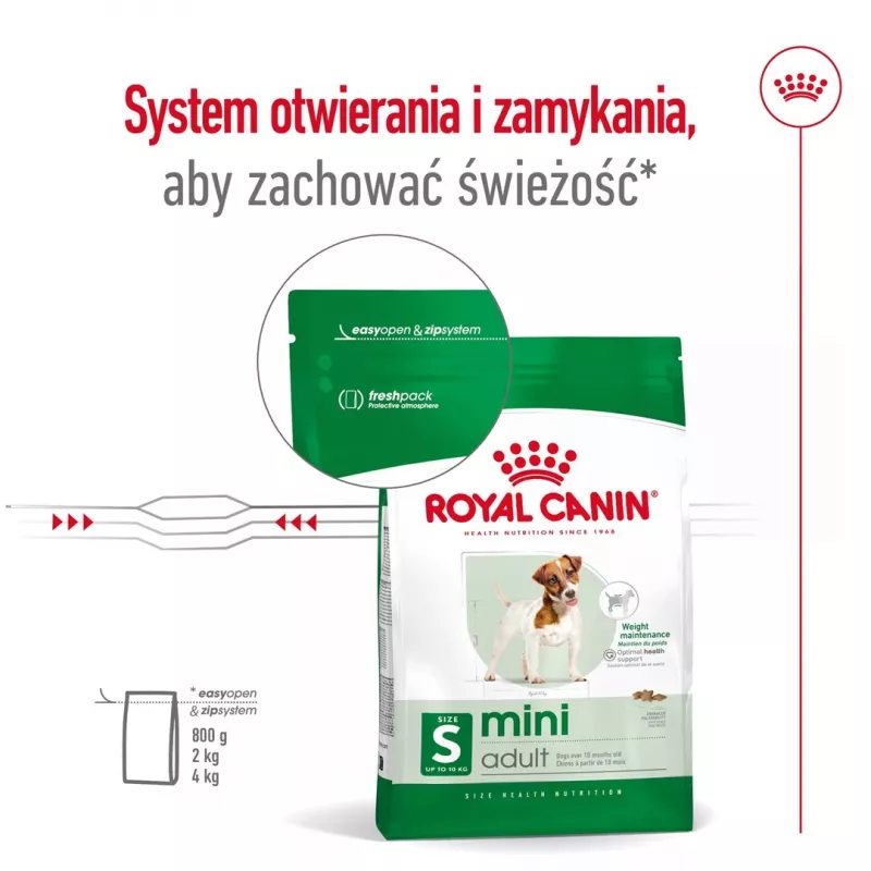 Kuiv koeratoit Royal Canin Adult Mini S 8 kg — täisväärtuslik toitumine väikestele täiskasvanud koertele