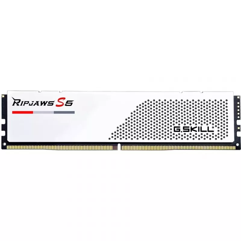 G.Skill F5-6000J3036F24GX2-RS5W mälumoodul 48 GB 2 x 24 GB DDR5 5600 MT/s