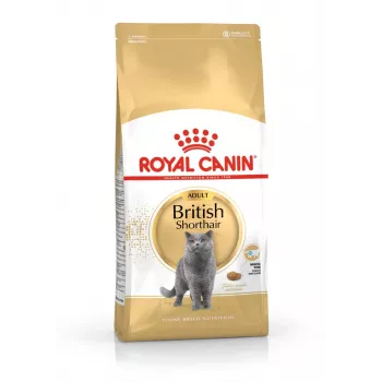 Kuiv kassitoit Royal Canin British Shorthair Adult 10 kg — linnuliha, valk 34%, rasv 19%