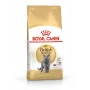 Kuiv kassitoit Royal Canin British Shorthair Adult 10 kg — linnuliha, valk 34%, rasv 19%