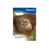Kunstipaberi plokk Pelikan 224840