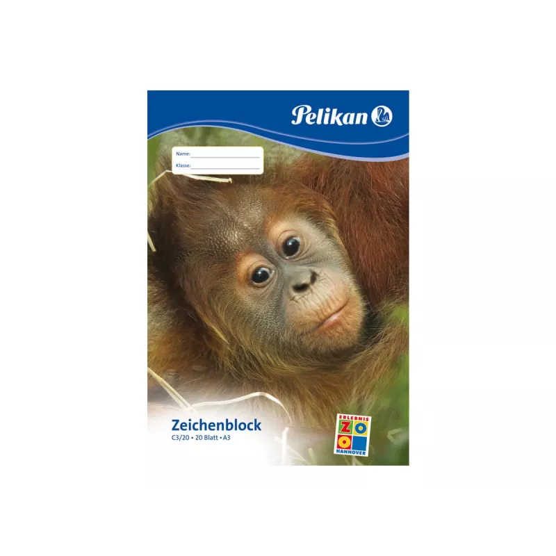 Kunstipaberi plokk Pelikan 224840