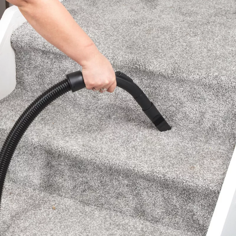 Tolmuimeja Beldray BEL01797VDE VorteXL Pro