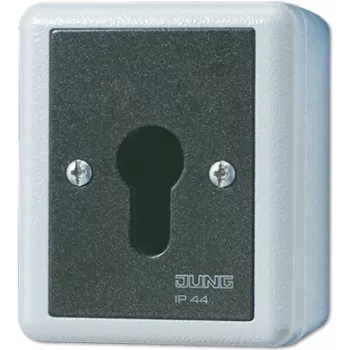JUNG 833.18 G - Võtmelüliti - 1P - Juhtmega - Must - Valge - Termoplast - IP44