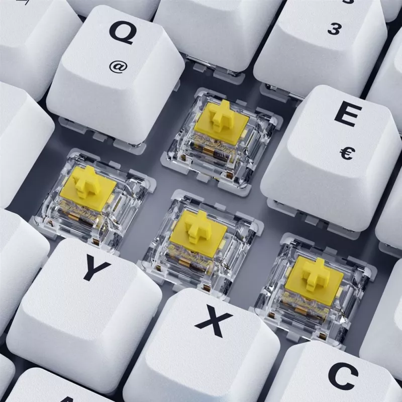 Sharkoon SKILLER SGK50 S3 PBT klaviatuur Mängimine USB QWERTZ Saksa Valge