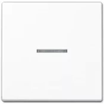 Valguslüliti JUNG A 590 KO5 WW — 1-kohaline nupp, Duroplast valge, 55×55 mm
