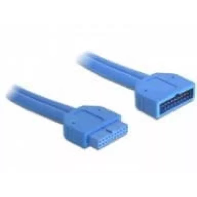 Sisemine USB-kaabel DeLOCK 82943 0,45 m USB 3.2 Gen 1 isane