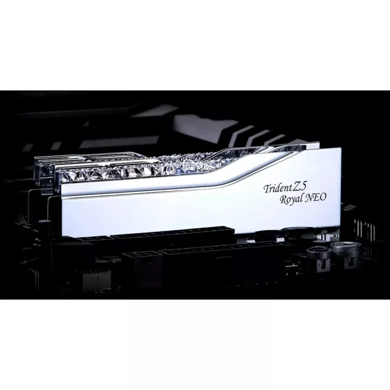 G.skill F5-8000J4048G24GX2-TR5NS mälumoodul