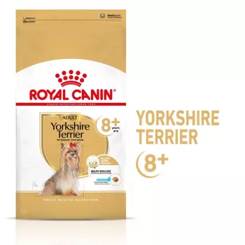 Kuiv koeratoit Royal Canin Yorkshire Terrier 8+ 3 kg — linnuliha, vanemaealistele Yorkshire terjeritele, valk 29%, rasv 18%