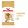 Kuiv koeratoit Royal Canin Yorkshire Terrier 8+ 3 kg — linnuliha, vanemaealistele Yorkshire terjeritele, valk 29%, rasv 18%