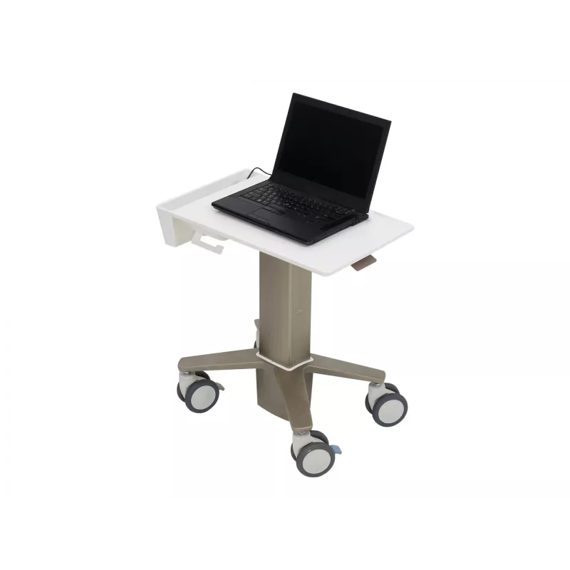 Sülearvuti alus Ergotron C50-1100-0 Hall 39.6 cm