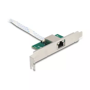 DeLOCK 95274 sisemine M.2 PCIe võrgukaart 1x 10 Gigabit Ethernet