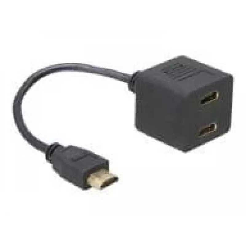 HDMI-adapter DeLOCK 65056 0,2 m isane 2x emasesse