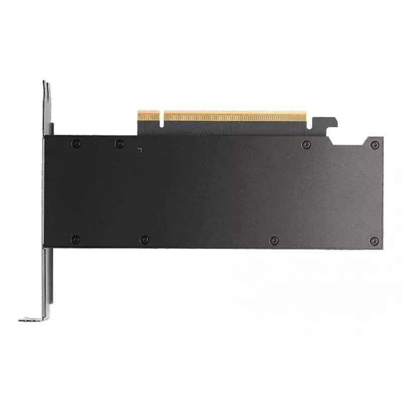 Graafikakaart NVIDIA RTX PRO 2000 16 GB GDDR7