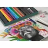 Õlipõhine pliiatsikomplekt Faber-Castell Polychromos & Pitt Graphite Matt 48 tk mitmevärviline