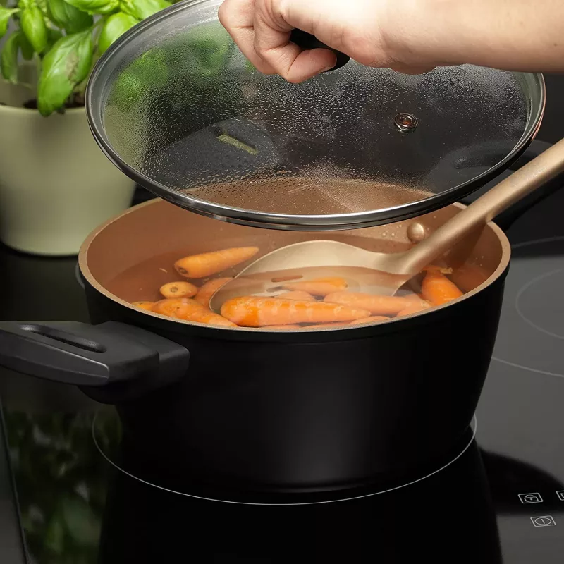 Stockpot Russell Hobbs RH01669BEU7 20 cm, must, roostevabast terasest sisemus