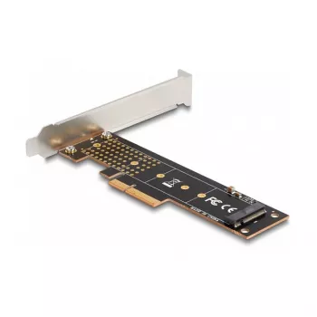 DeLOCK PCI Express x4 kaart 1 sisemisele NVMe M.2 Key M 110 mm madala profiiliga
