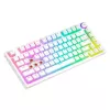 Mängurklaviatuur Savio Phenix Valge GAT RED PUD Juhtmega Juhtmevaba USB Bluetooth RGB LED
