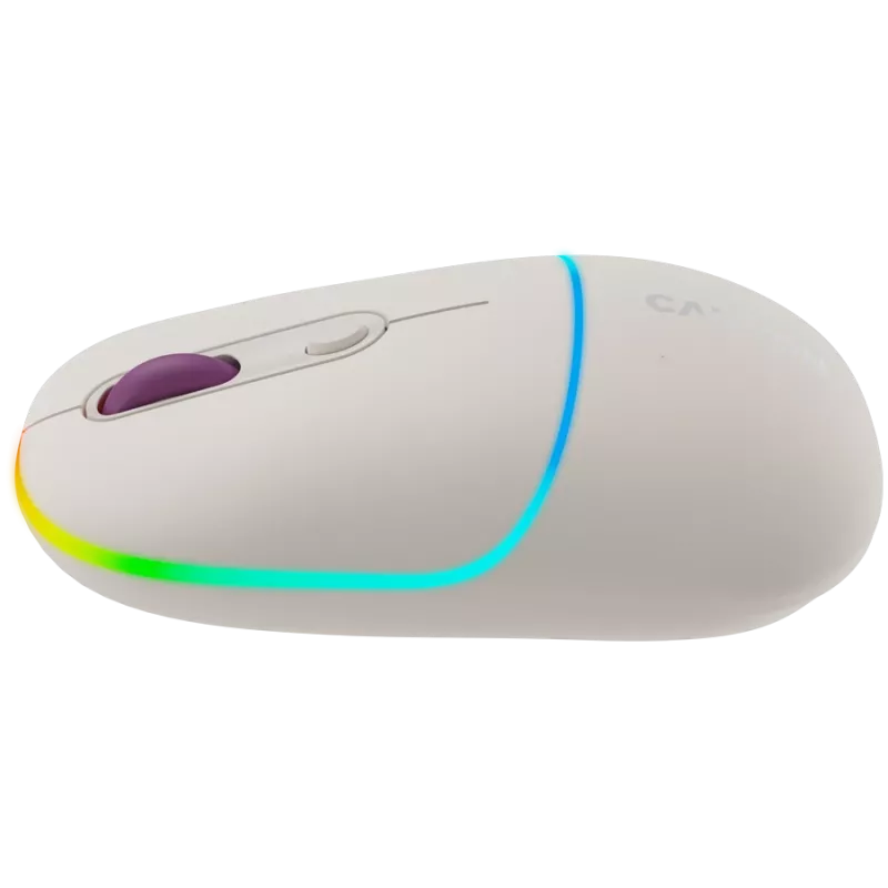 CANYON hiir MW-22 2-in-1 BT/Wireless Rice
