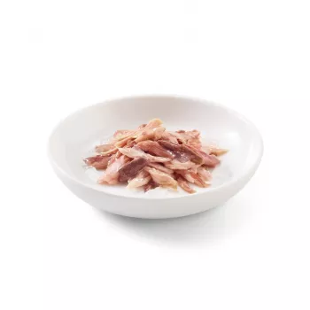 SCHESIR tuunikala veiselihaga tarretises - märg kassitoit - 85 g