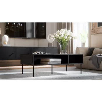 Cama PALAZZO BIS table/latrine 110x60x40 matt must