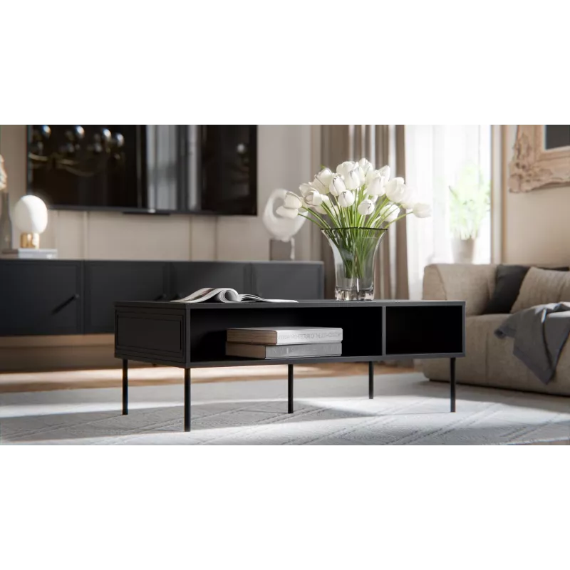 Cama PALAZZO BIS table/latrine 110x60x40 matt must