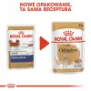 Märg koeratoit Royal Canin Chihuahua Adult kotike 85 g — linnuliha, täiskasvanud chihuahuadele 1–1,9 kg