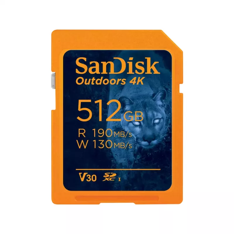 Flash Memory SanDisk 32GB SDHC Class 10 SDSDXW2-064G-GNCIN