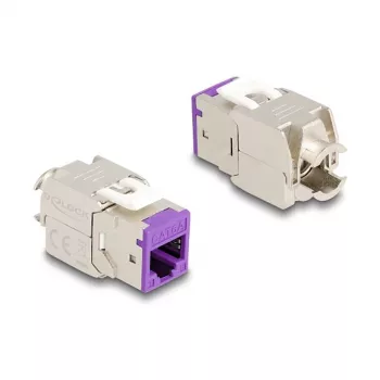 DeLOCK keystone moodul 88121 lame Lilla RJ-45 10 tk