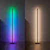 Põrandalamp Nanoleaf N7204K02-1FL 22W RGBW — reguleeritav RGB ja häälestatav valge valgustus