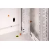 DIGITUS® 7HE seinakapp - Hall, RAL 7035 - 48,3 cm (19) (DN-19 07-U)