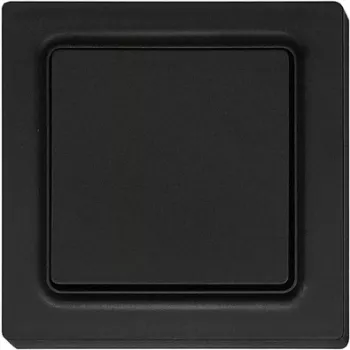 Lüliti Eltako F2T55E-am 55×55 mm antistaatiline matt – seinale paigaldatav elektrilüliti