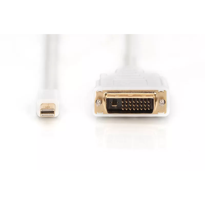Kaabel DisplayPort 1.1a mini DP-DVI tüüp MM 2,0m