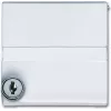 Busch Jaeger 2118 GKSLN/11-34 White (1710-0-3793)