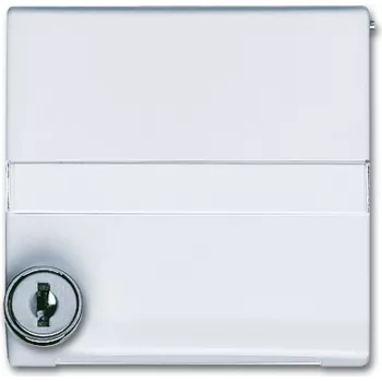 Busch Jaeger 2118 GKSLN/11-34 White (1710-0-3793)