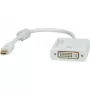 Video Kaabliadapter ROLINE 12.03.3137 Mini DisplayPort DVI-D-le 0,1 m