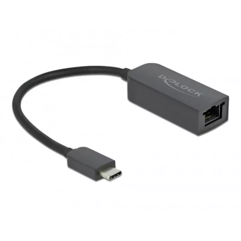 Adapter USB USB-C isane 2,5 Gigabit LAN kompaktne DeLOCK 66645