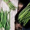 Nomad Green Dwarf Bean Seeds, 50g - köögiviljaseemned