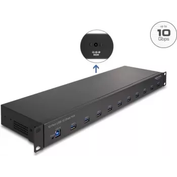 DeLOCK 64240 19-tolline tööstuslik USB-jaotur, 10 x USB-A, 10 Gbps